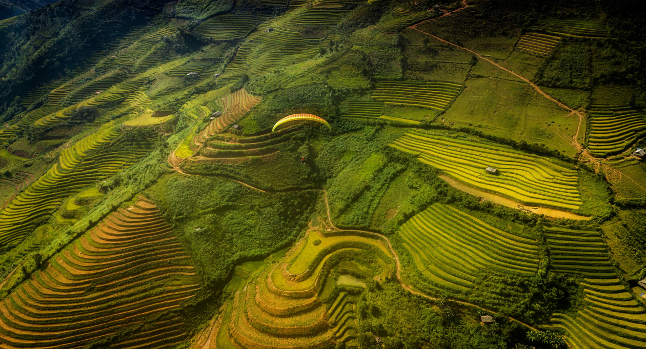 ‘Fly’ over golden rice fields at Mu Cang Chai’s paragliding festival