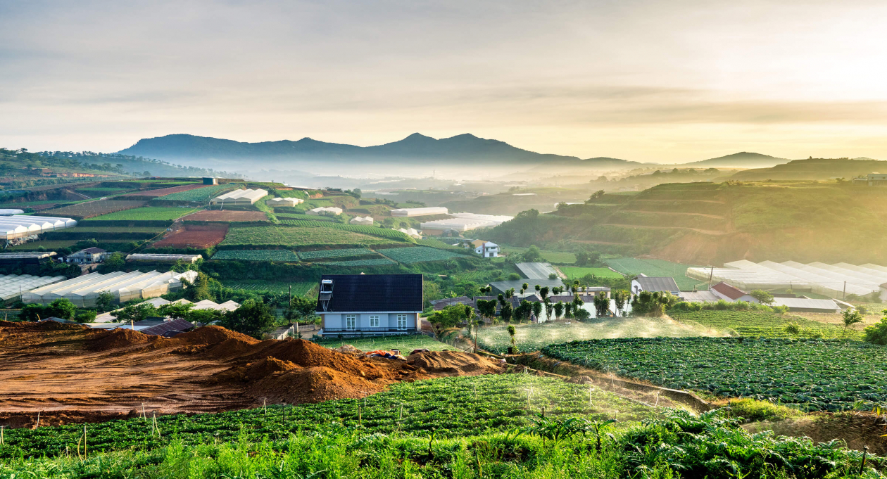 Farm Tours, Flowers, Strawberries and Coffee: Agrotourism in Dalat