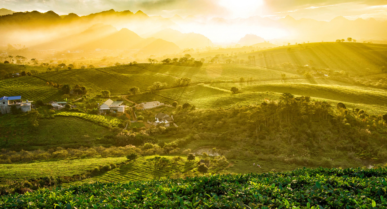 Why Moc Chau is every eco-traveller’s dream destination