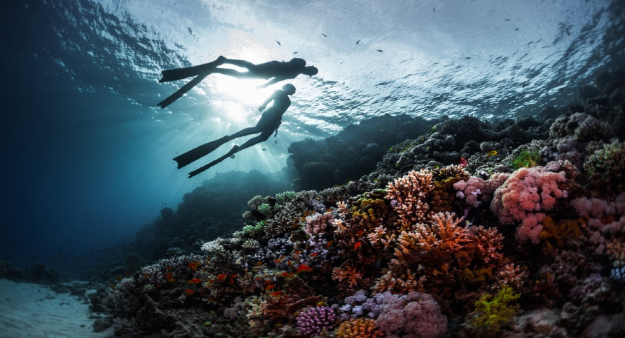 Ideal places for scuba diving in Vietnam