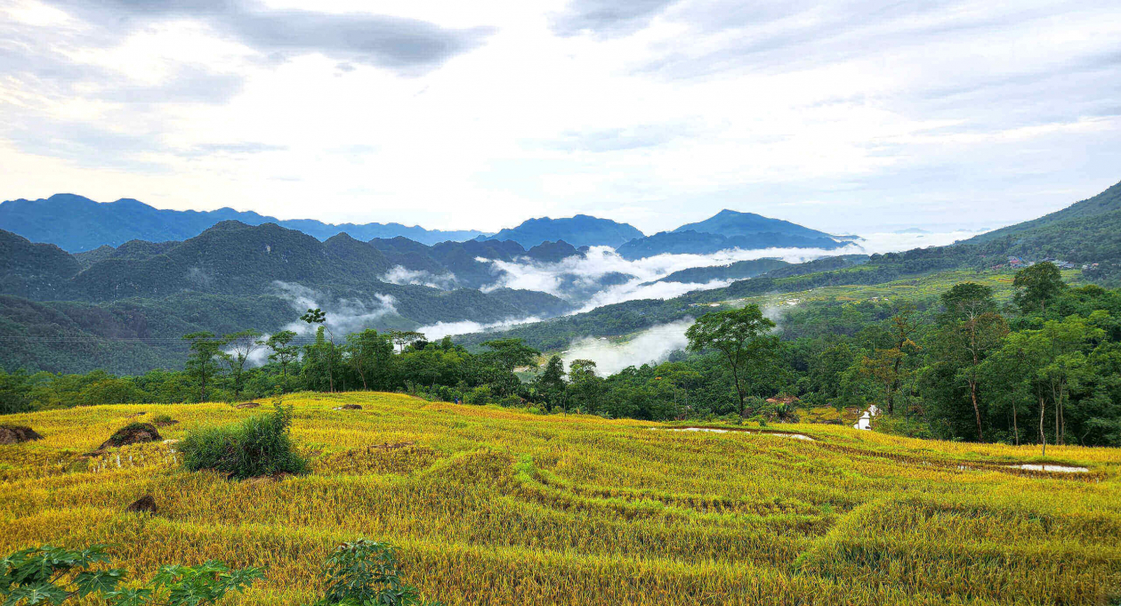 Pu Luong, Thanh Hoa: The hidden paradise