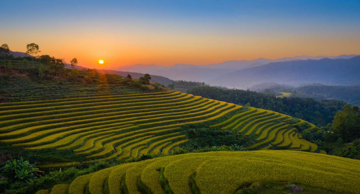 Binh Lieu: Feel every heartbeat in a corner of nature