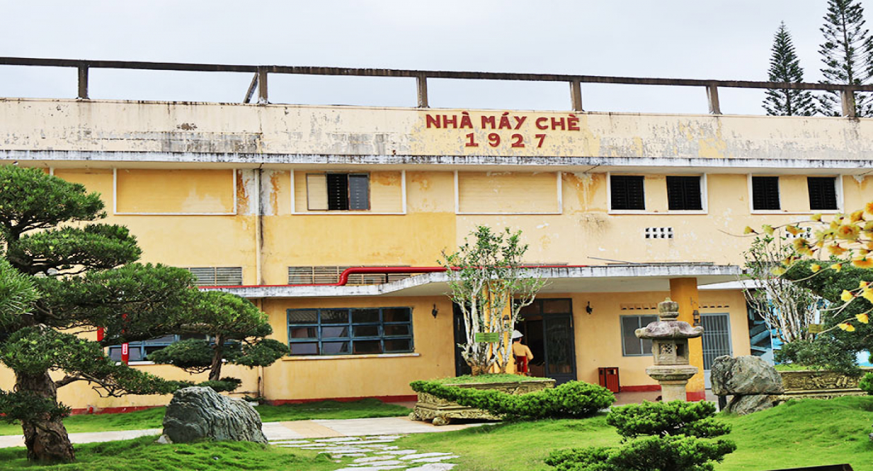 Tea Factory 1927: the living witness to the development of Vietnam's tea industry