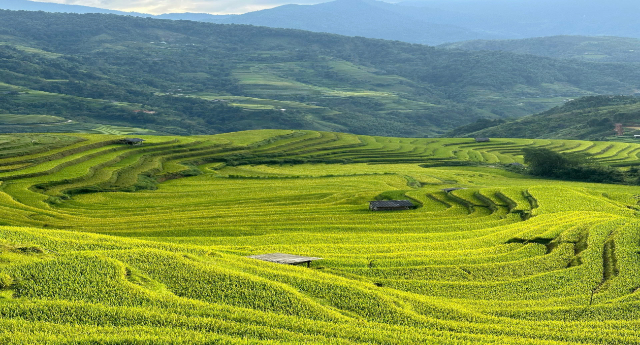 Up to 50% Off Vietnam Tours