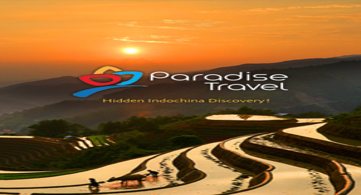 Paradise Travel 