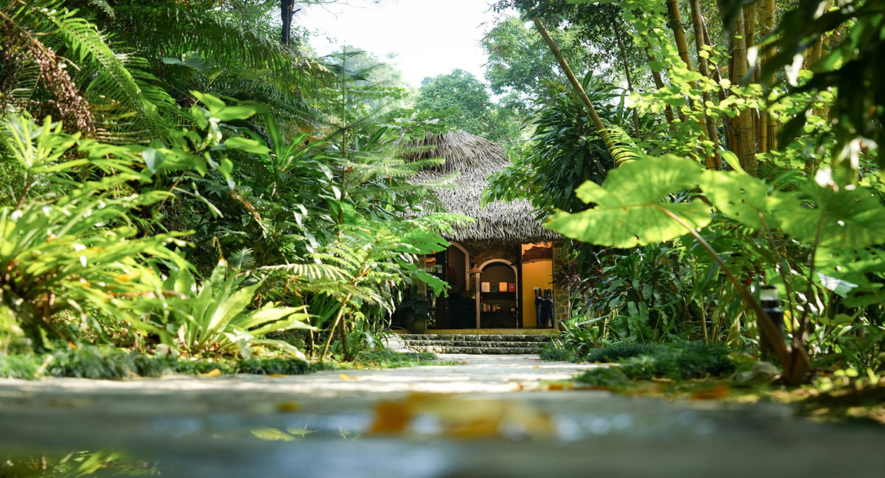 Vietnam's Hotels and Resorts Shine at World Travel Awards 2025