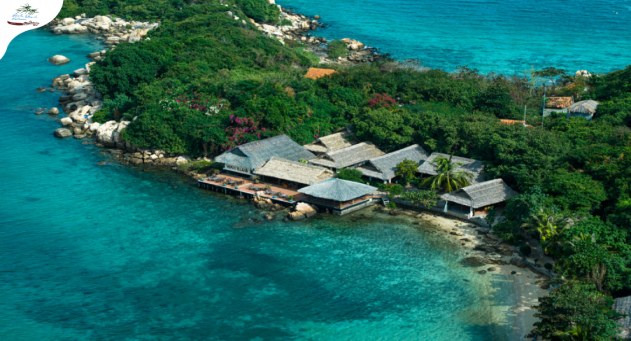A green sanctuary for slow living souls at Whale Island Resort