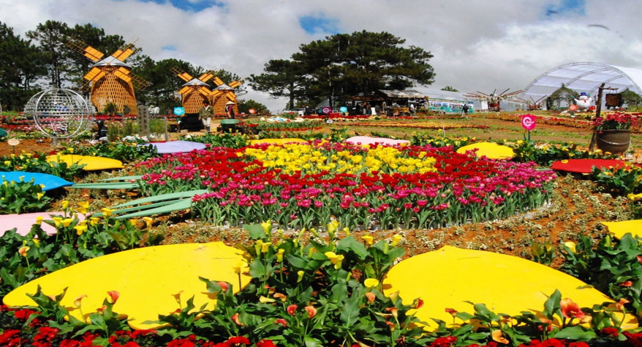 11th Da Lat Flower Festival 2026