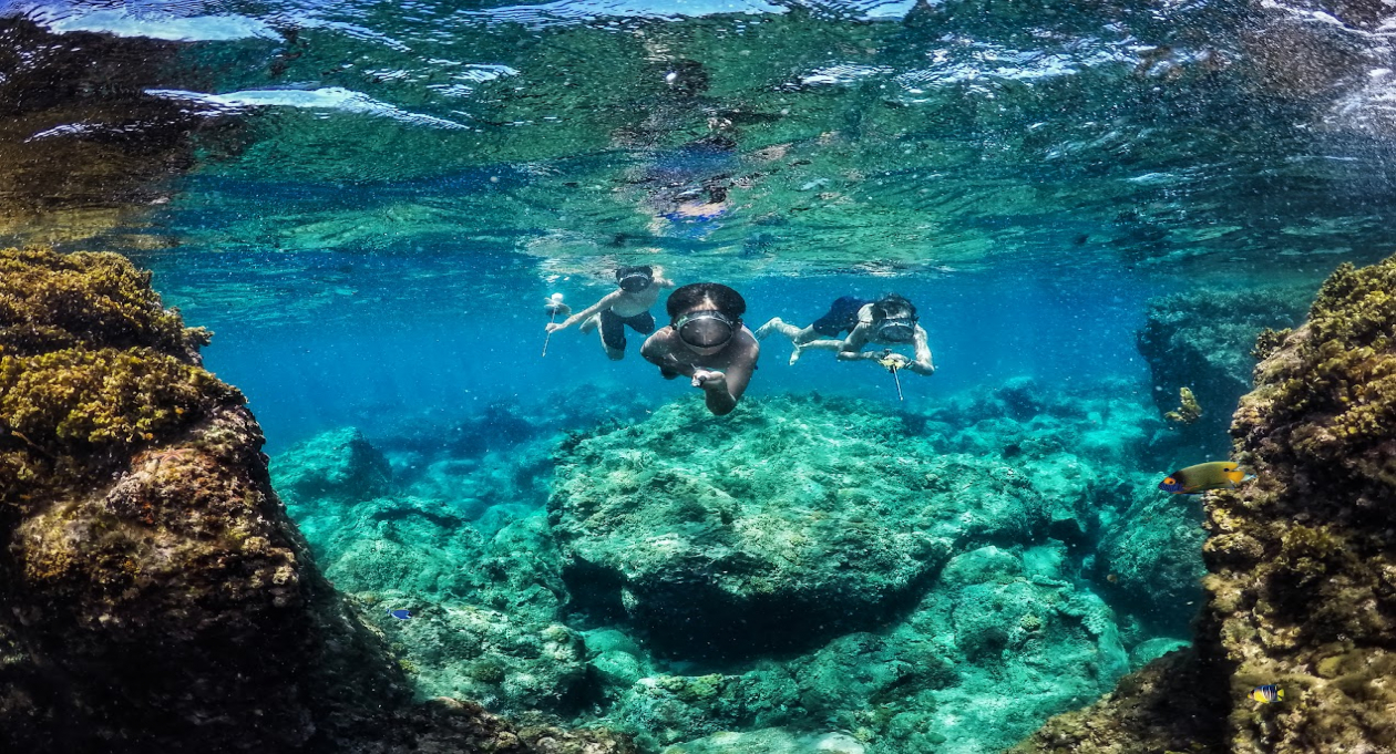 Sun, Sand & Serenity: 5 Vietnamese Islands for the Perfect Summer Escape