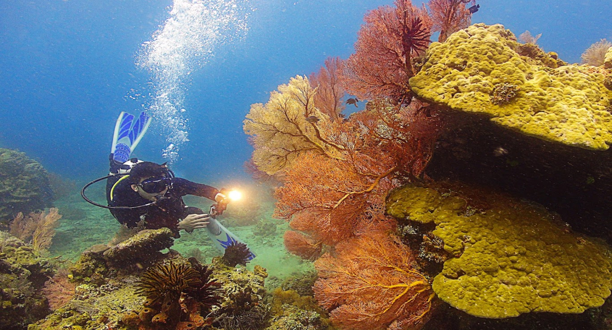 Con Dao: A Sanctuary of Sea, Solitude and Slow Travel