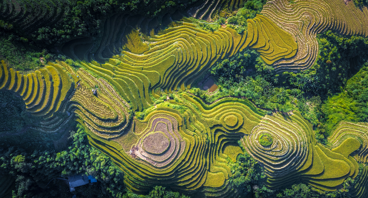 3 August destinations in Vietnam for great weather and thrilling experiences