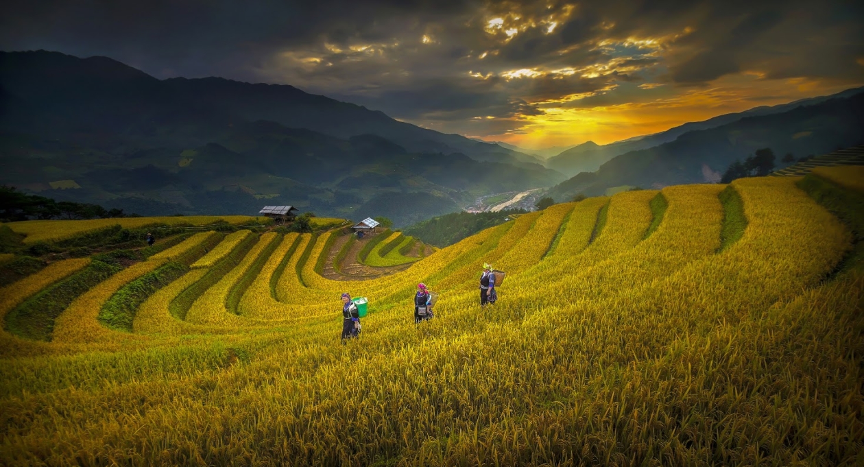 Enjoy early autumn in Northern Vietnam
