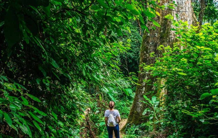 How to travel responsibly in Vietnam 