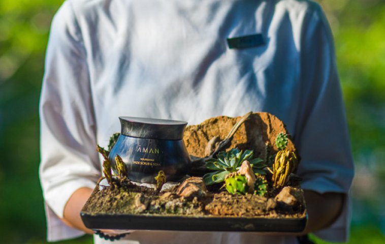 Vietnam's must-try wellness treatments