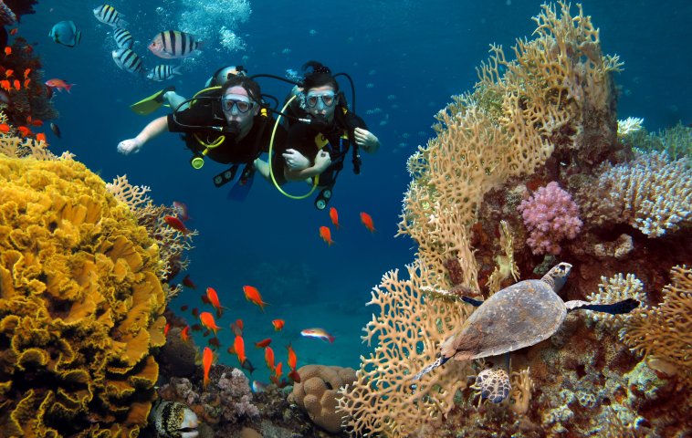 Underwater Activities in Phu Quoc