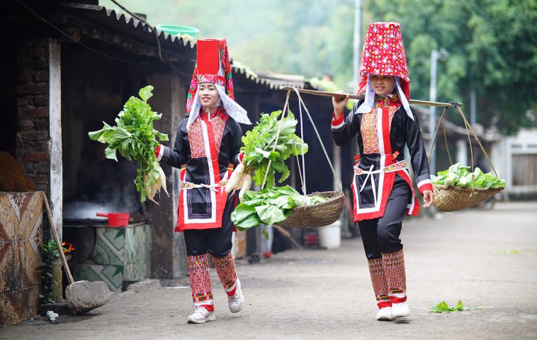 Explore, Relax, and Play in Northern Vietnam 