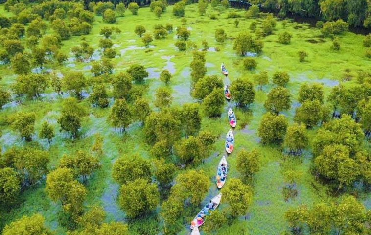 Lost in green wonderland in Tra Su Cajuput Forest