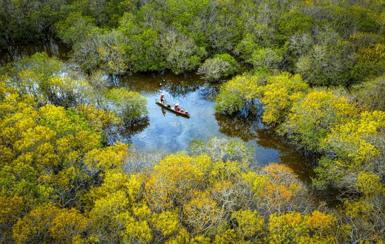 Ru Cha Mangrove Forest: A sleeping beauty of Hue
