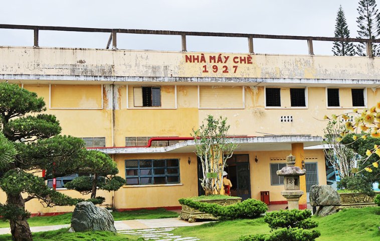 Tea Factory 1927: the living witness to the development of Vietnam's tea industry