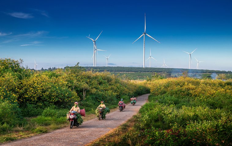 Into the charming misty town of Pleiku