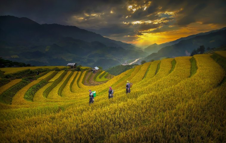Enjoy early autumn in Northern Vietnam
